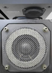 ns-10m pro tweeter