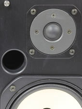 ns-10mt tweeter