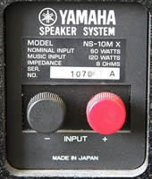 ns-10mx crossover terminal