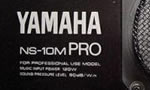 ns-10m pro label